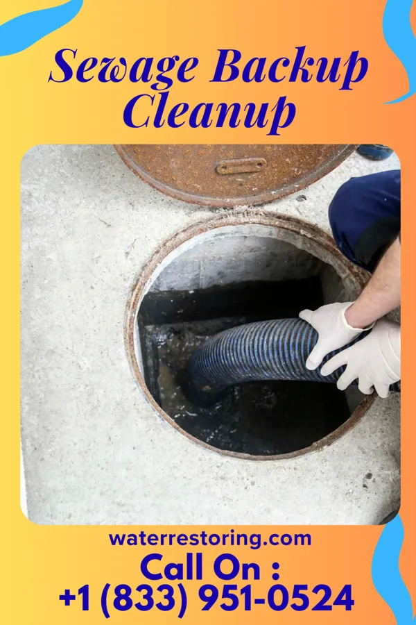 Sewage Backup Cleanup in Raywick, KY